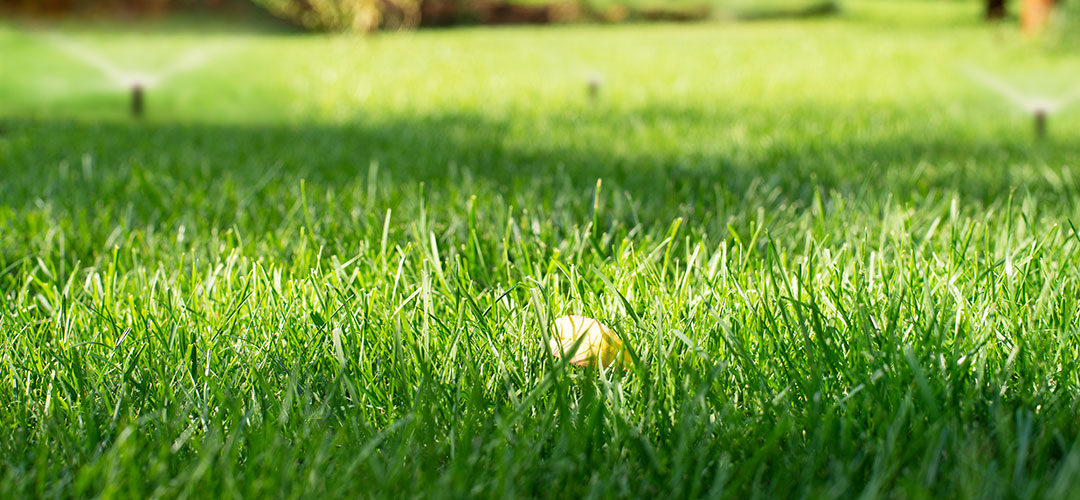 Overseeding