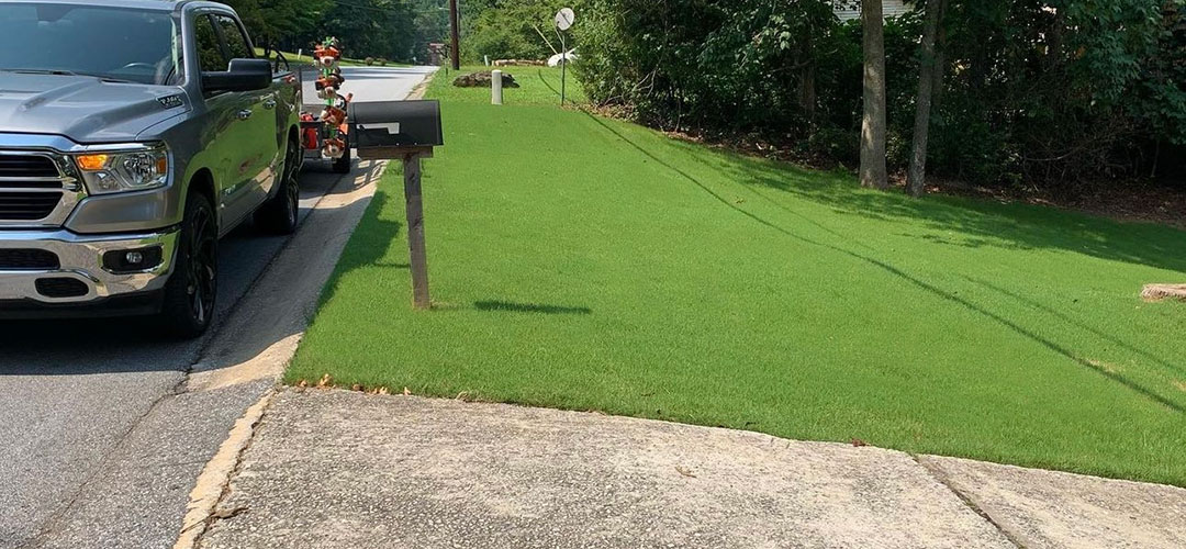 Sod Installation